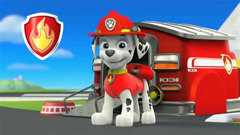 Image Marshall The Dalmatian Fire Pup Png Paw Patrol Wiki Fandom