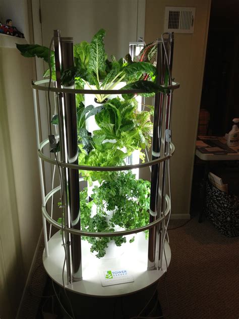 Indoor Hydroponic Garden Tower Thuem Garden Plant