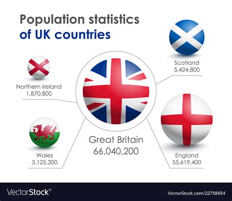 Infographics Of Population Statistics In Britain Vector Image