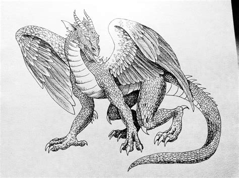 Inked Norse Dragon Original Sketch In Here There Be Dragons Ink