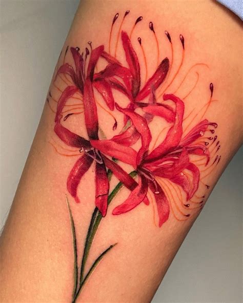 Innovative Red Spider Lily Tattoo Files In 2024 Lily Tattoo Red