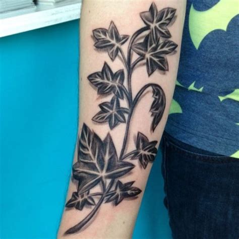 Ivy Tattoo Its Which Means And 12 Concepts Nexttattoos