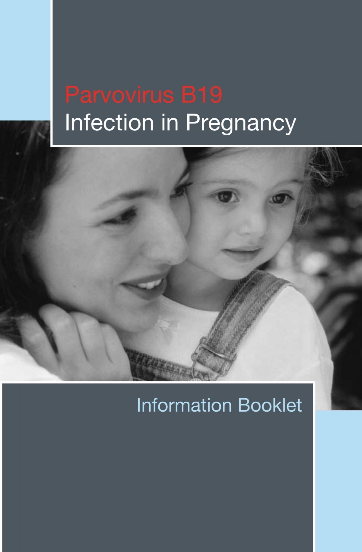 Jpm Free Full Text Parvovirus B19 Infection And Pregnancy Review