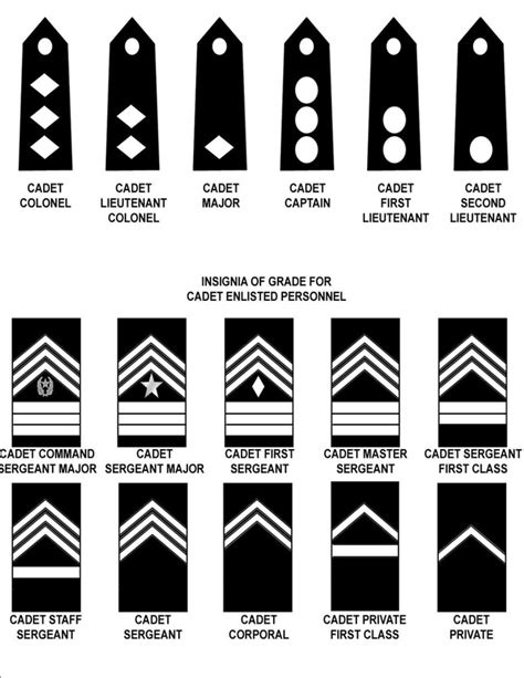 U.S. Army JROTC Ranks and Insignia Guide