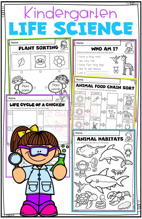 5 Fun Kindergarten Science Printable Activities