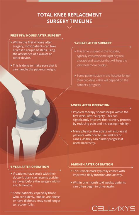 Knee Replacement Surgery Recovery Explained