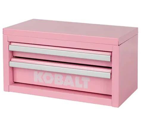 Kobalt Mini 10 83 In Friction 2 Drawer Pink Steel Tool Box Review Forestry Reviews