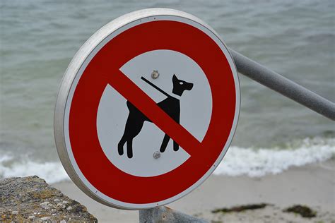 Kostenlose Foto Strand Nummer Schild Rot Beschilderung Tafel