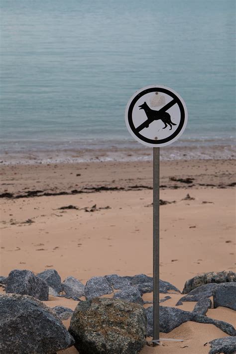 Kostenloses Foto Hunde Verboten Strand Schild Verbots Hunde Warnung Hinweis Hippopx