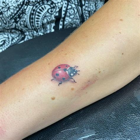 9 Lady Beetle Tattoo Designs You'll Love