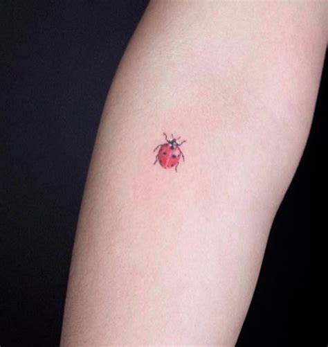 Ladybird Tattoo Small