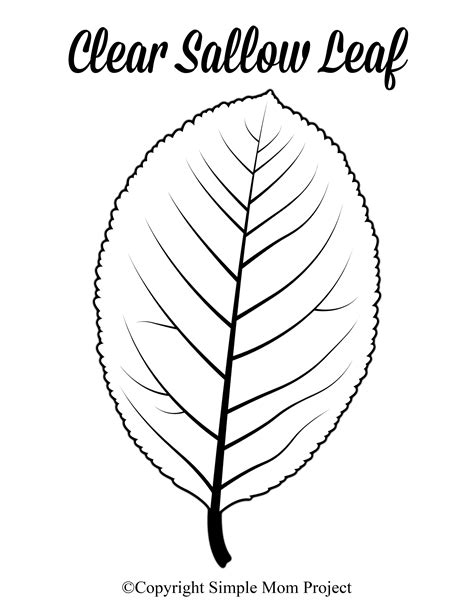 Large Leaf Template Printable