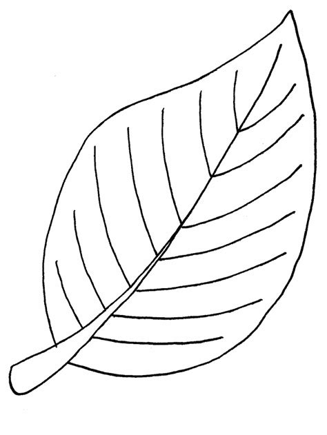 Leaf Coloring Page Images Amp Pictures Becuo