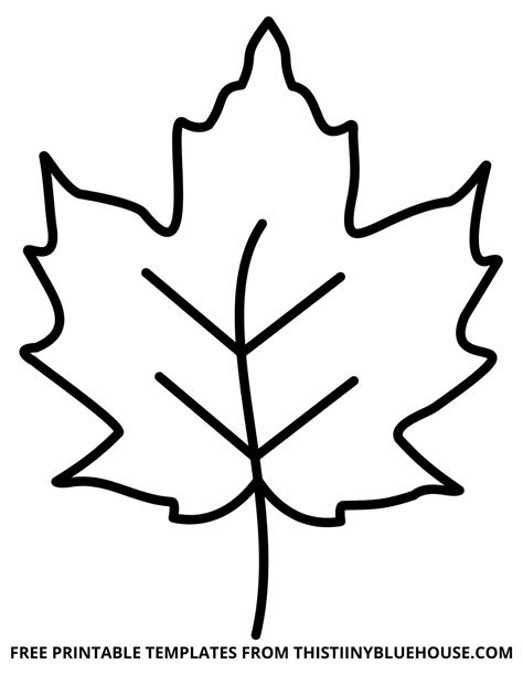 Leaf Outline Printable Templates for Kids and Adults