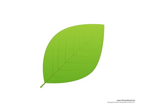 Leaf Template For Kids