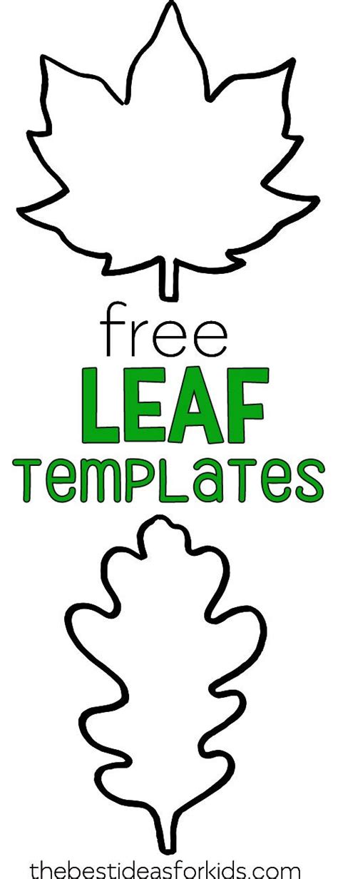 Leaf Template Free Printables The Best Ideas For Kids Fall Leaf