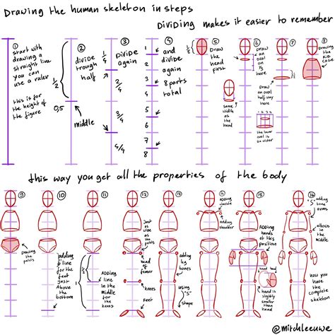 Learn How To Draw Human Figures In Correct Proportions By Memorizing