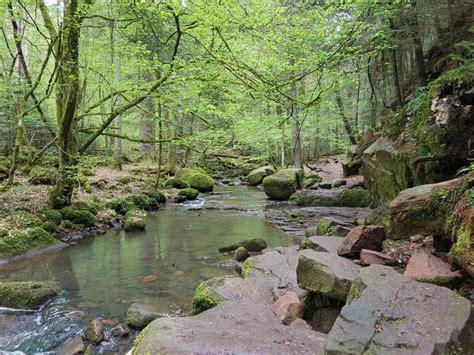 Les 20 Meilleures Attractions Et Ce Qu Il Faut Voir Dans Le Montagnes