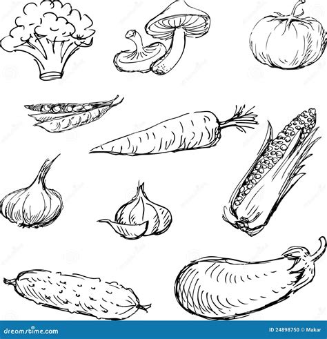 5 Easy Ways to Draw Vegetables