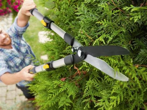 Lidl Florabest Teleskop Heckenschere Heckenscheren Im Test