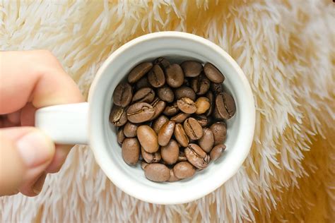 Lion S Mane Coffee Benefits Recipe Doubleblind Mag