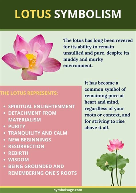 Lotus Flower Meaning