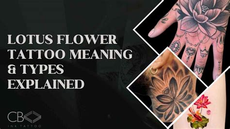 Lotus Flower Tattoo Meaning Types Explained Cb Ink Tattoo Brisbane S Top Rated Tattoo Shop