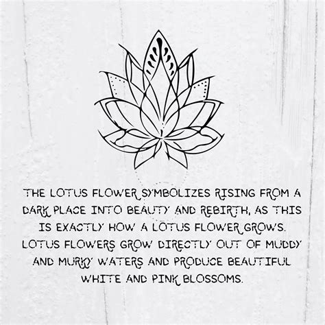 7 Lotus Tattoo Meanings Explained