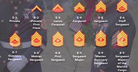 Marine Corps Staff Sergeant Military Ranks