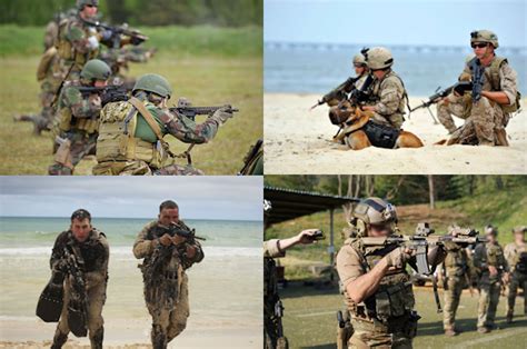 Marsoc Vs Navy Seals Green Berets Marine Recon Operation