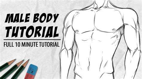 Master The Male Figure Your Step By Step Guide To Drawing Like A Sir Schooltube