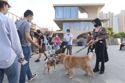 Meet The Slobbering Students Of China S Pet Training Schools The World Of Chinese