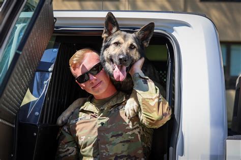 Meet Your Army Fort Gregg Adams Military Working Dog Handler Article The United States Army