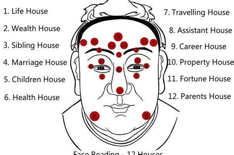 Mengenal Face Reading Fengshui Bisa Baca Karakter Seseorang Sonora Id