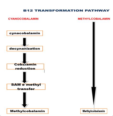 Methylcobalamin A Better Option Than Cyanocobalamin Dr Sanjayagrawal