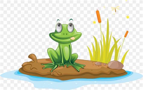 Michigan J Frog Edible Frog Illustration Png 2350X1487px Michigan J Frog Amphibian Cartoon