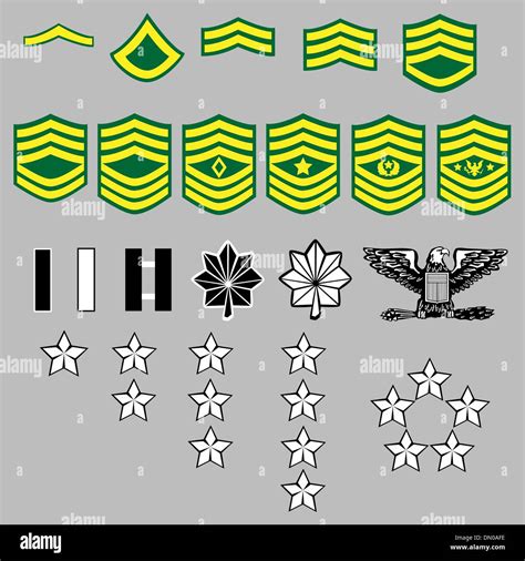 Military Army Officer Rank Insignia Stock Vector Image Art Alamy