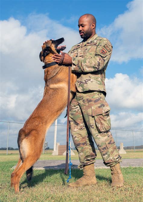 Military Working Dogs Jbsa S Four Legged Defenders Joint Base San