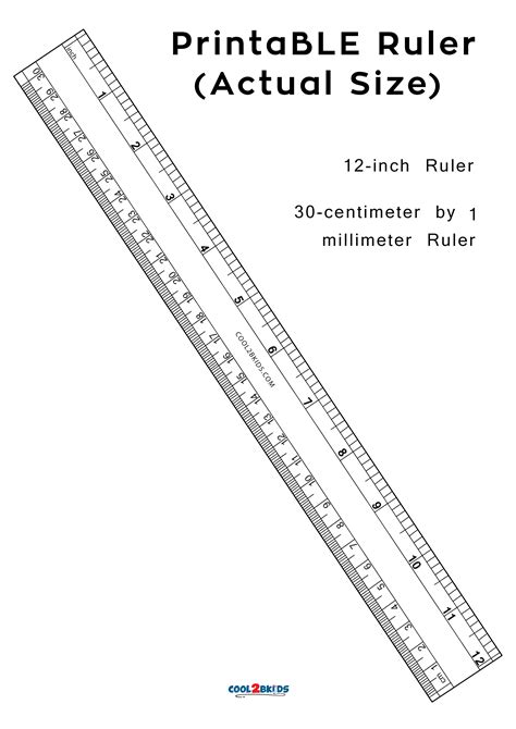 Millimeter Ruler Hotsell Actual Size