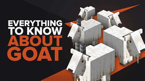 Minecraft Everything You Need To Know About Goats