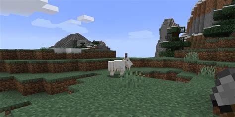 Minecraft Where To Find Goats What They Re Used For