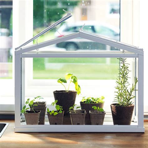 5 DIY Mini IKEA Greenhouse Hacks