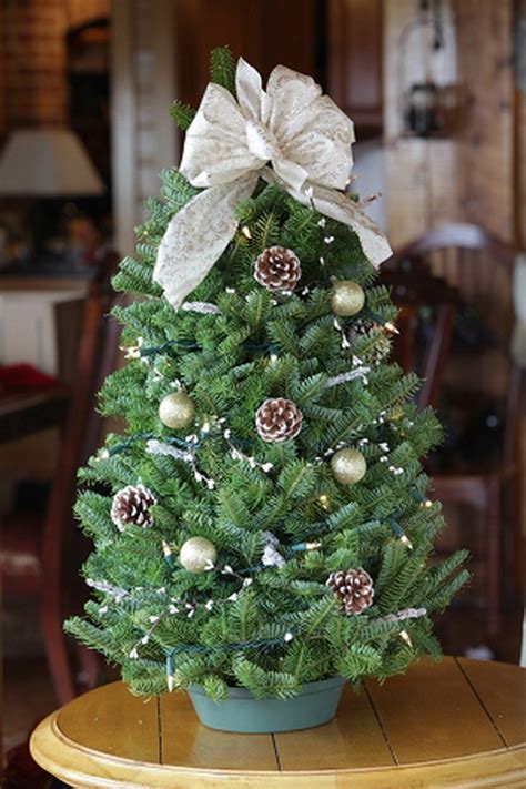 Miniature Tabletop Christmas Tree Decorating Ideas Family Holiday Net