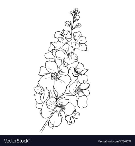 Minimalist July Birth Flower Larkspur Tattoo Vector Image