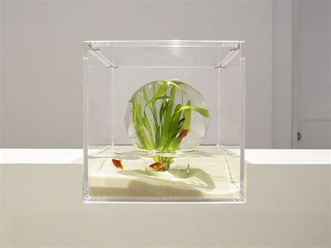 Modern 3D Printed Aquariums Seamlessly Combine Nature And Art Fish