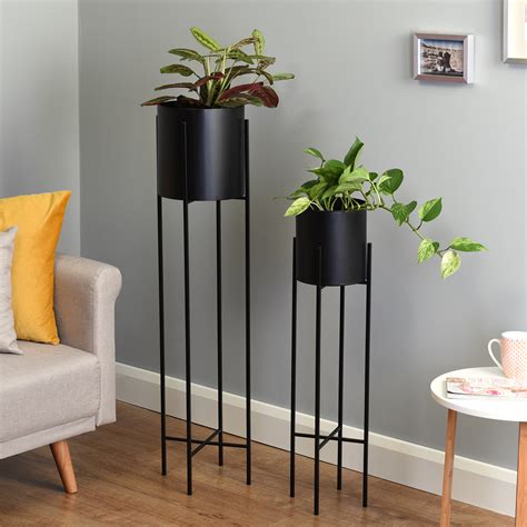 7 Modern Flower Pot Ideas to Elevate Your Space