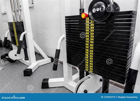 Modern Gym Weights Training Equipment For Exercises And Rehab R Stock