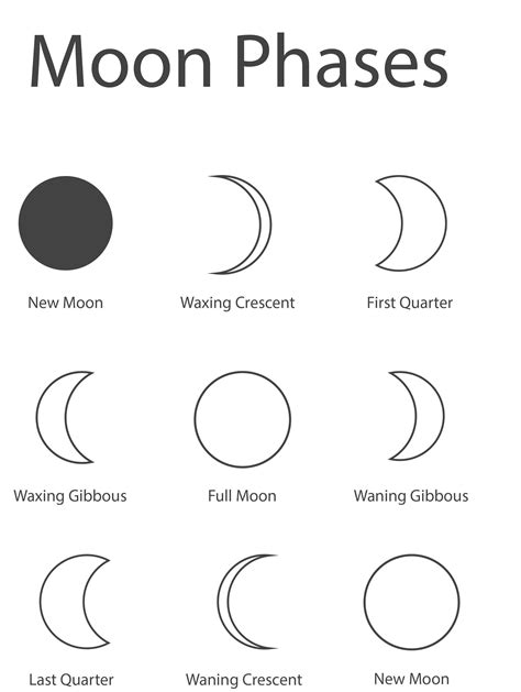 Free Moon Phase Printable for Kids and Adults