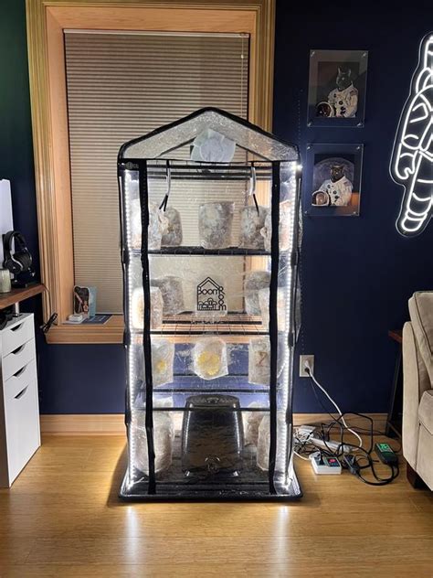 5 Tips for a Perfect Mushroom Grow Tent