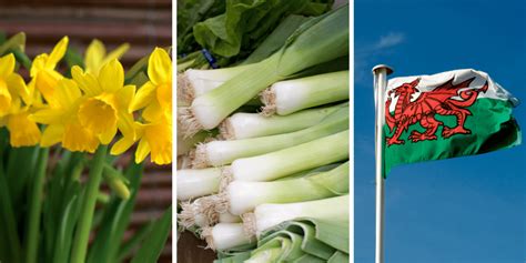 National Symbols Of Wales Wales Com